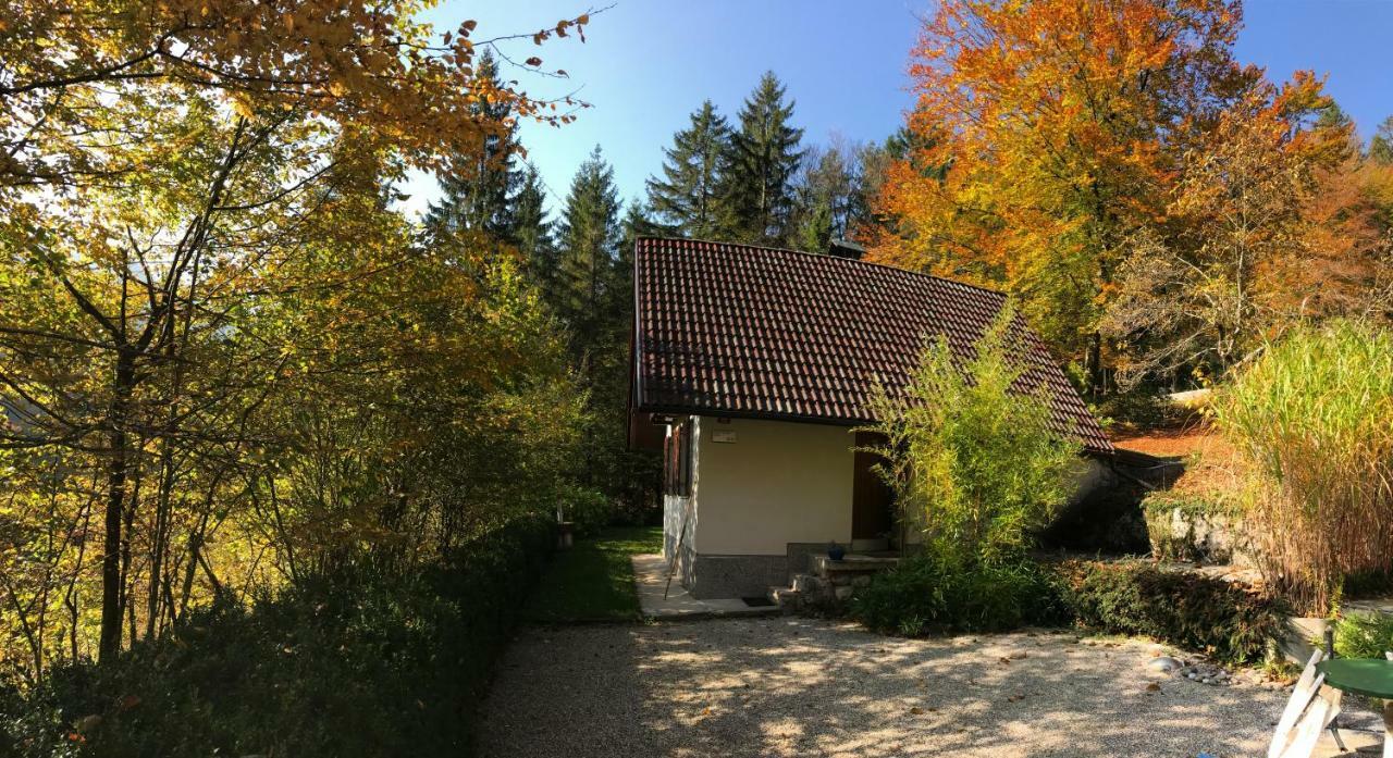 Chalet Iskaretreat Ig Eksteriør billede