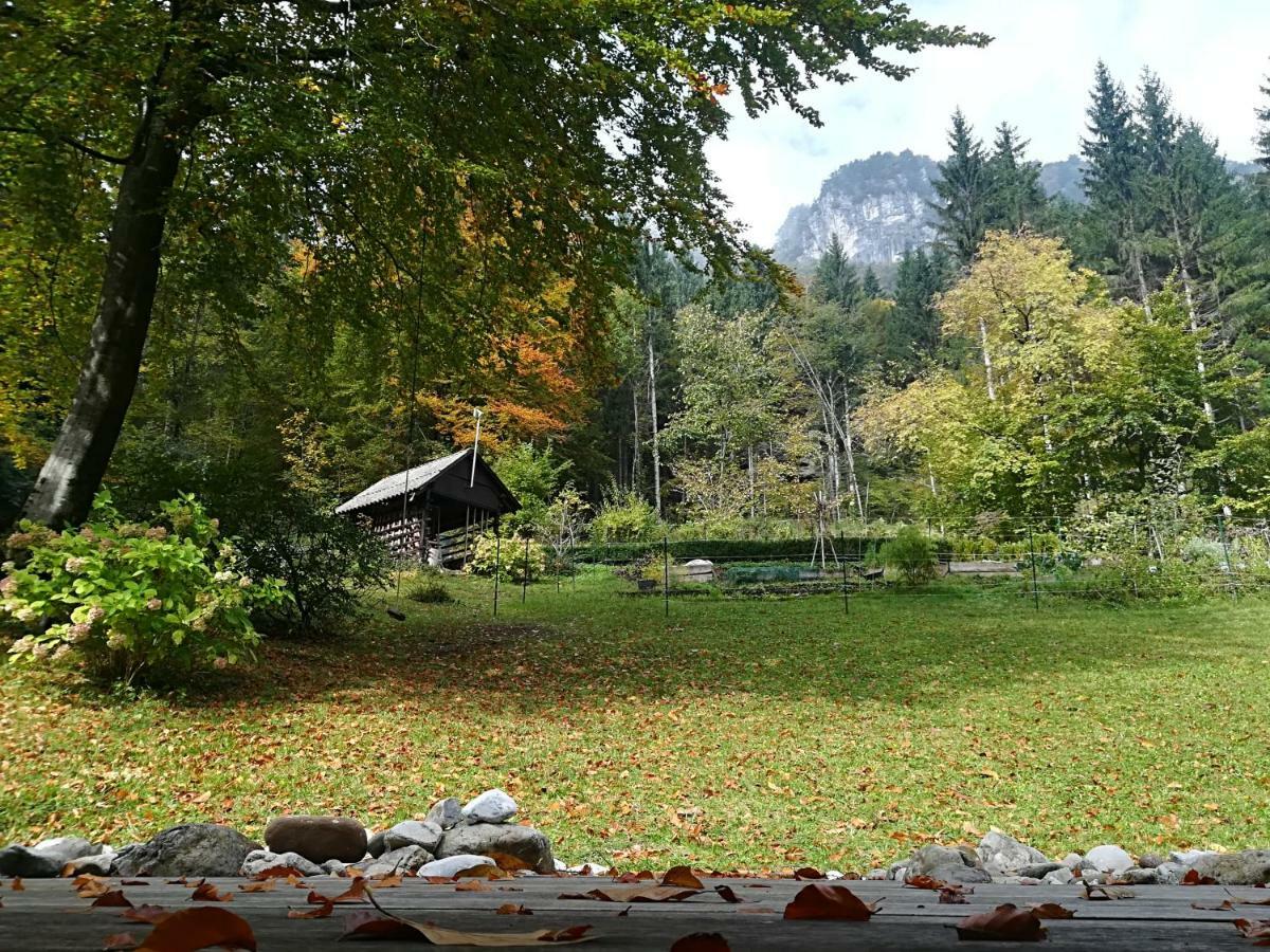 Chalet Iskaretreat Ig Eksteriør billede